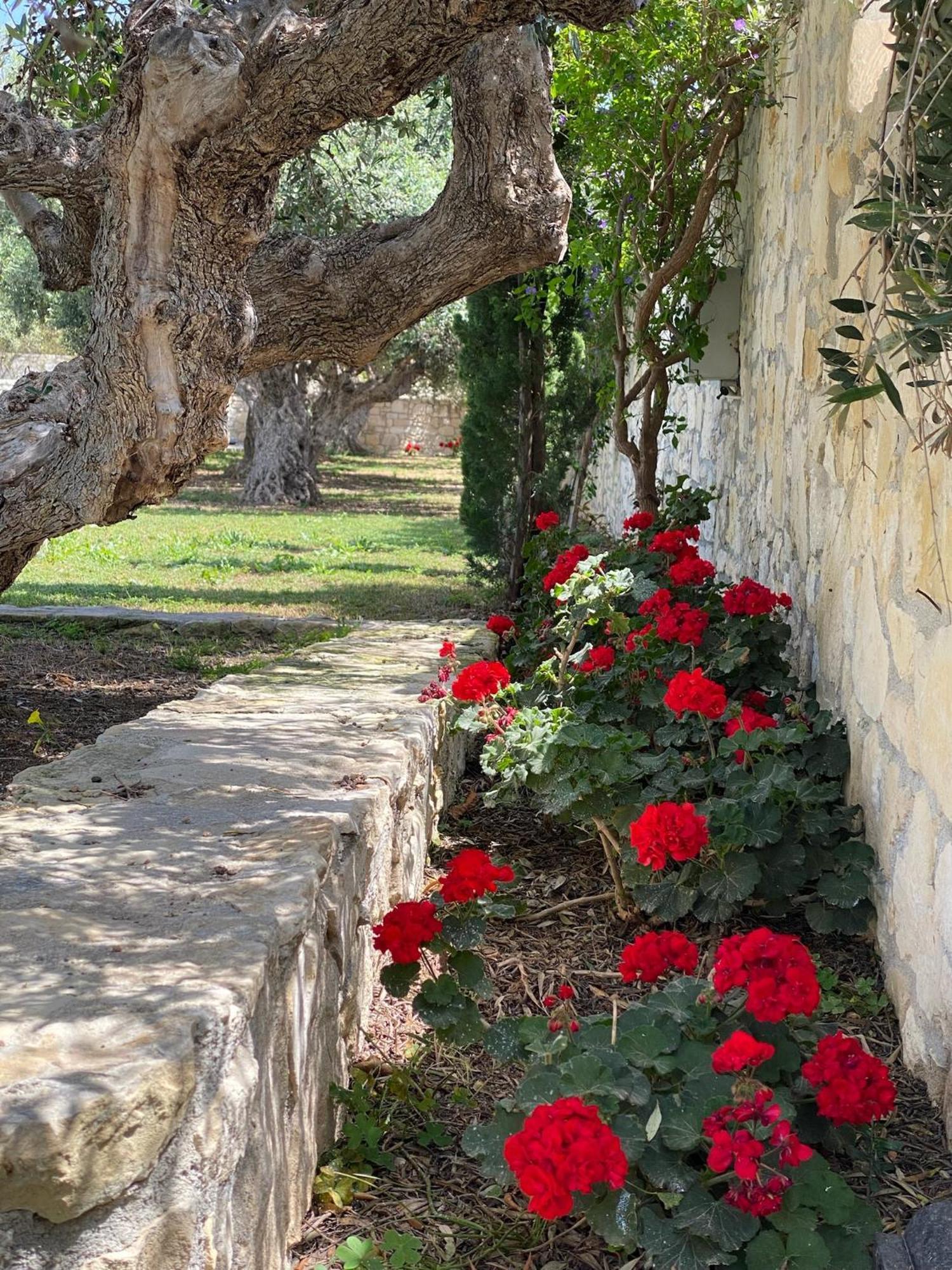 Villa Marmelada Ierápetra Exterior foto